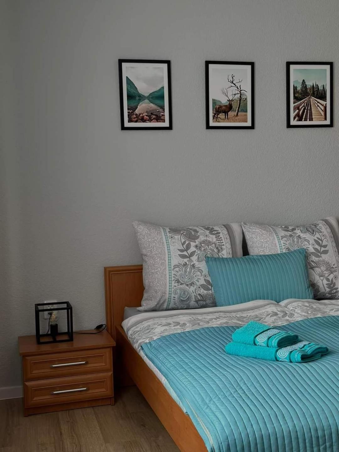 Goscinne U Ani Apartment Glogowek